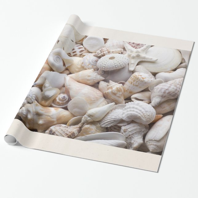 Havssnäcka- & sjöstjärnabakgrund - strandsnäckor presentpapper (Utrullad)
