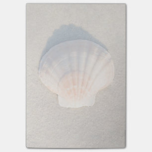 Havssnäcka som lägger på sandig strand post-it block