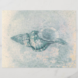 Havssnäcka Teal Beige Vintage Havsstrand Struktur