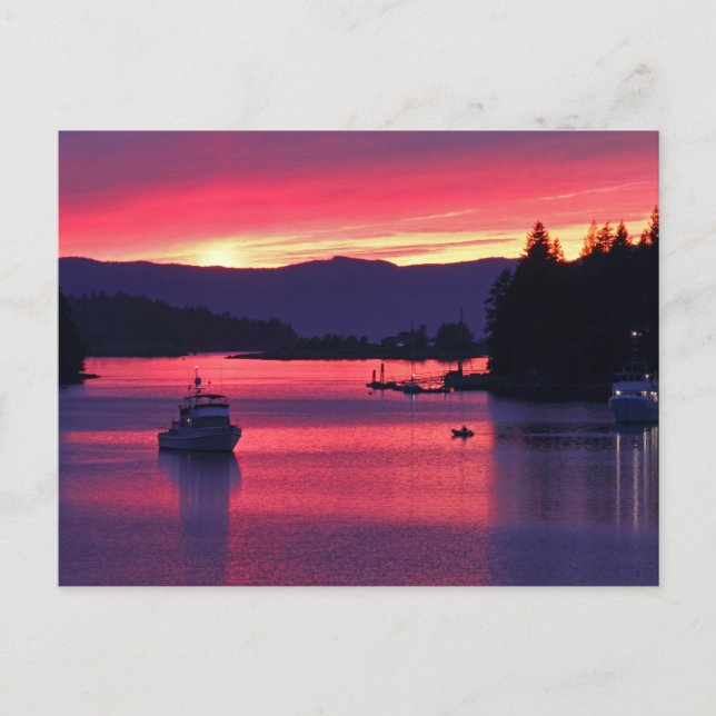 Havssolnedgång med båtar i Harbour Vykort (Framsida)