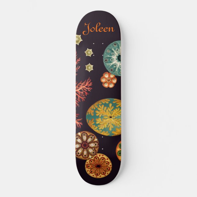 Havssprutas Remix Skateboard Bräda 21,5 Cm (Framsida)