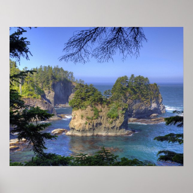 Havsstackar, Makah Nation stammar territorium, Cap Poster (Framsidan)