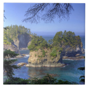 Havsstackar, Makah Nation stammarland, Cape Kakelplatta
