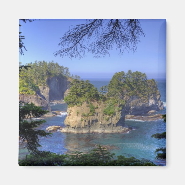 Havsstackar, Makah Nation stammarland, Cape Magnet (Framsidan)