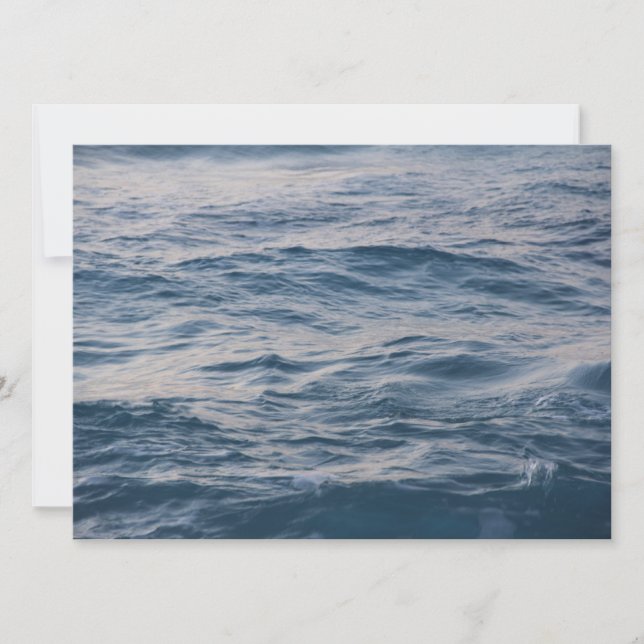 Havsstängsel vatten (Framsida)