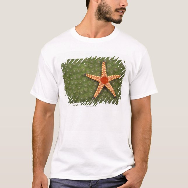 Havsstjärna Tee Shirt (Framsida)