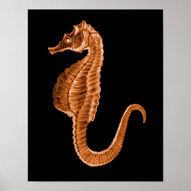Havsstrand i sjöhästen poster (Framsidan)