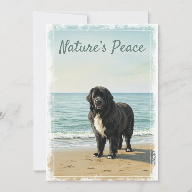 Havsstranden Serenitet – Newfoundland Hund Natur Inbjudningar (Framsida)