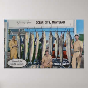 Havstad, Maryland hem av vitmarlinen, Vin Poster