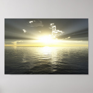 Havstråle Poster