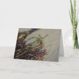 Havstrandsjögräs Kort