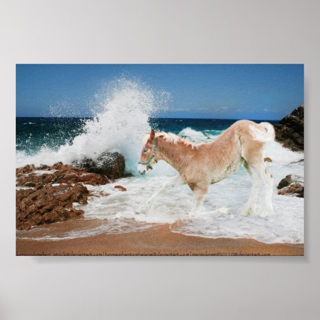 Havsutkast Poster (Framsidan)