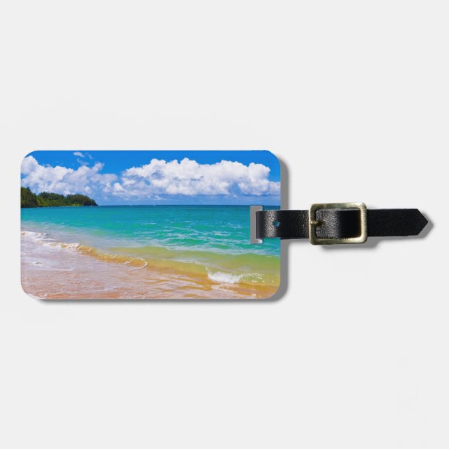 Havsutsikt längs Hanalei Bay Bagagebricka (Horisontell Framsida)