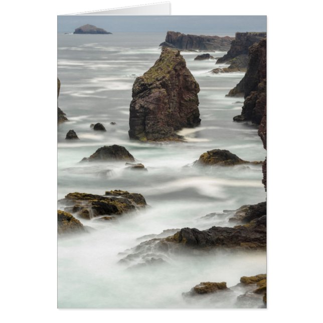 Havsutsikt och havsstoder, Shetland Hälsningskort (Framsidan)