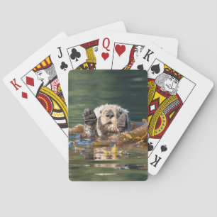 Havsutter Casinokort