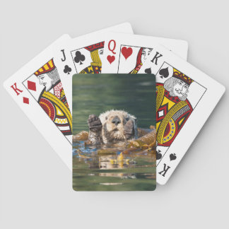 Havsutter Casinokort