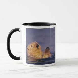 Havsutter, Enhydra lutris 2 Mugg