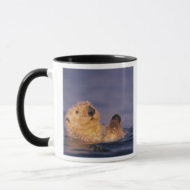 Havsutter, Enhydra lutris 2 Mugg (Vänster)