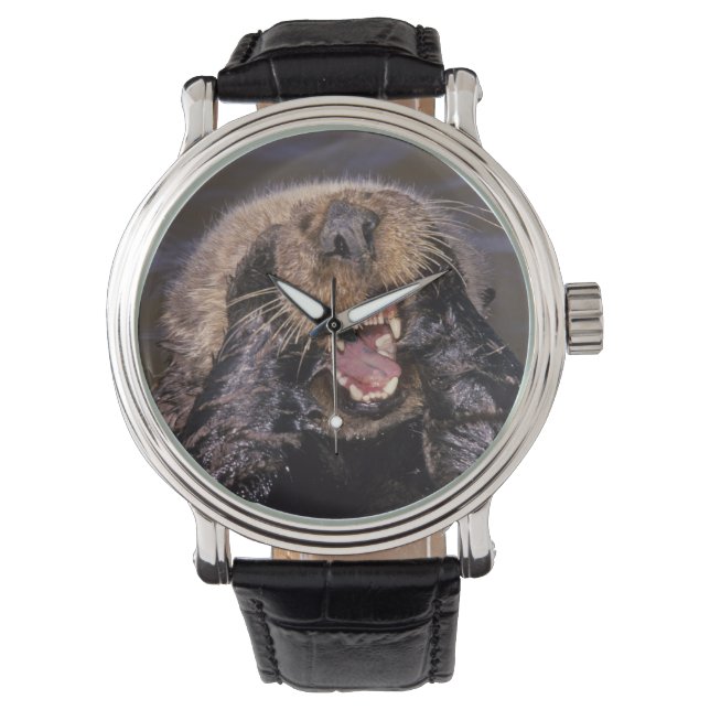 Havsutter, Enhydra lutris 6 Armbandsur (Framsida)