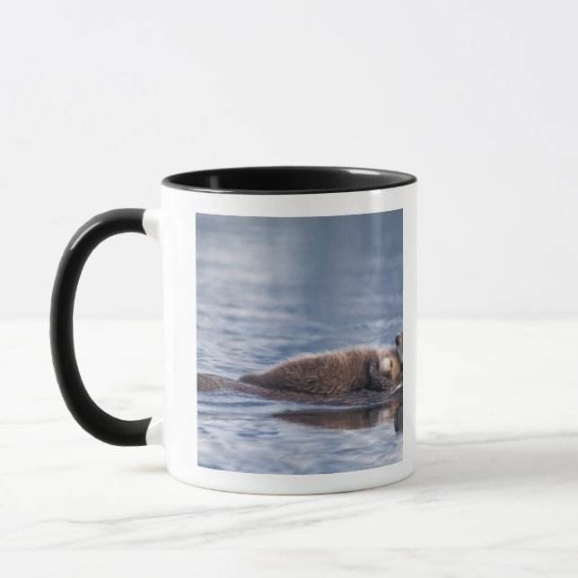 havsutter, Enhydra lutris lutris Mugg (Vänster)