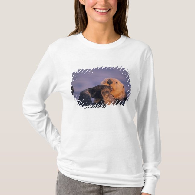 Havsutter, Enhydra lutris T Shirt (Framsida)