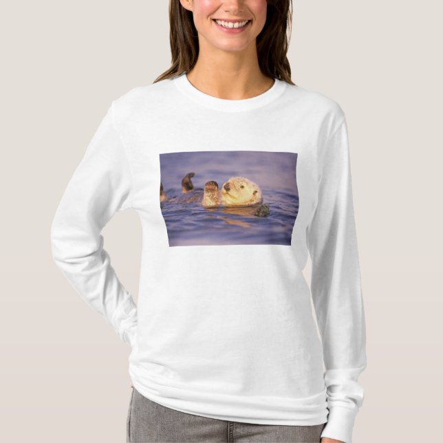 Havsutter, Enhydra lutris T Shirt (Framsida)