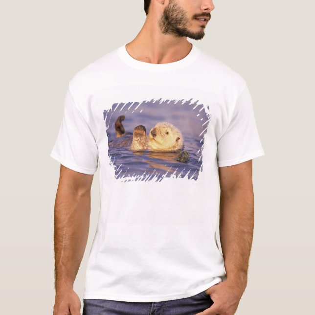 Havsutter, Enhydra lutris Tee Shirt (Framsida)
