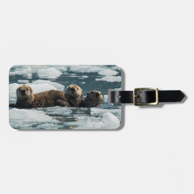 Havsutterfamilj Bagagebricka (Horisontell Framsida)