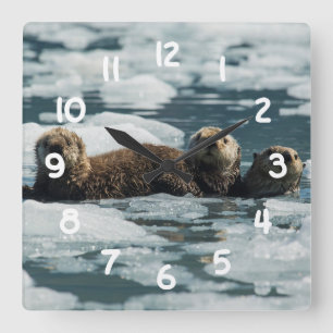 Havsutterfamilj Fyrkantig Klocka