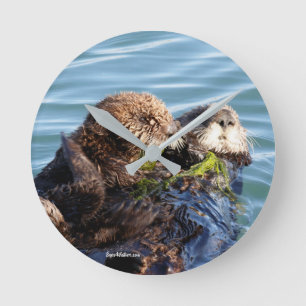Havsuttermor och valp med kelp rund klocka