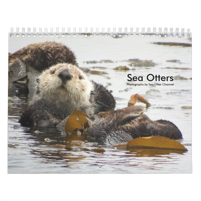 Havsuttern kanaliserar kalendern #3 kalender (Omslag)