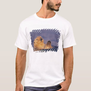 Havsuttrar, Enhydra lutris 2 Tee