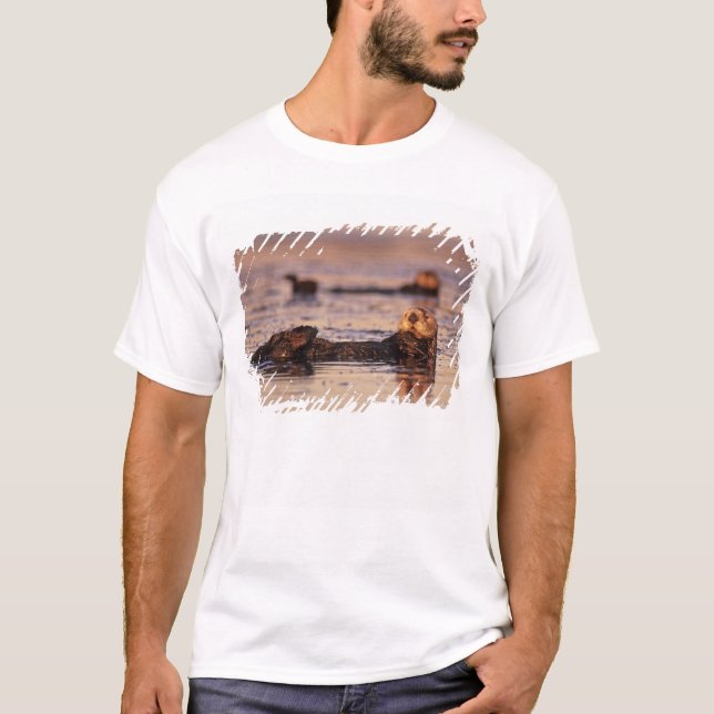 Havsuttrar, Enhydra lutris 3 T-shirt (Framsida)