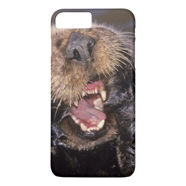 Havsuttrar, Enhydra lutris 6 Case-Mate iPhone Skal (Baksida)