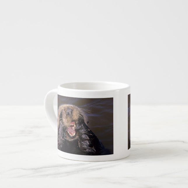 Havsuttrar, Enhydra lutris 6 Espressomugg (Framsida vänster)
