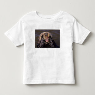 Havsuttrar, Enhydra lutris 6 Tee