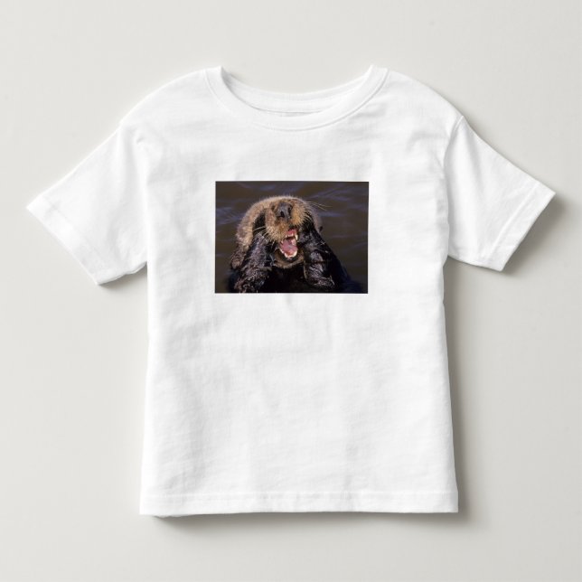 Havsuttrar, Enhydra lutris 6 Tee (Framsida)