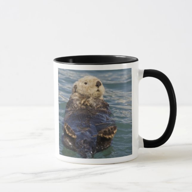 Havsuttrar leker på isberg vid Surprise Inlet Mugg (Höger)