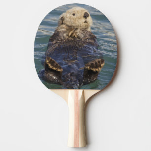 Havsuttrar leker på isberg vid Surprise Inlet Pingisracket