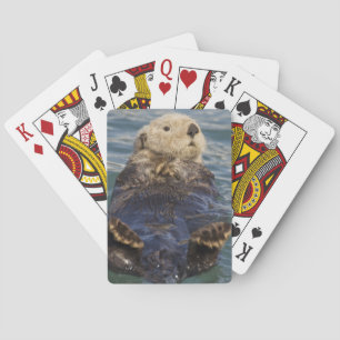 Havsuttrar leker på isberg vid Surprise Inlet Spel Kort