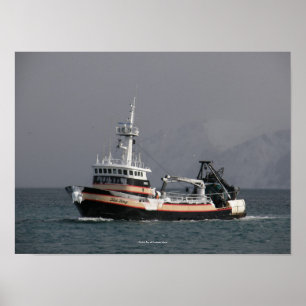 Havsvarg som fiskar trawleren i holländsk hamn, A Poster