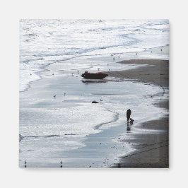 Havsvatten som kommer till stranden vid dusk magnet