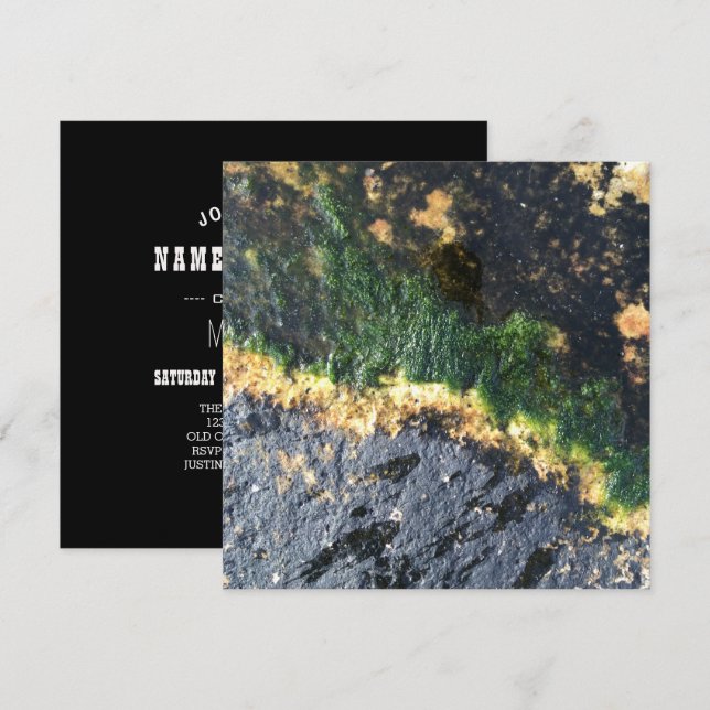 havsvattenledning i sjögräs inbjudningar (Fram/baksida)