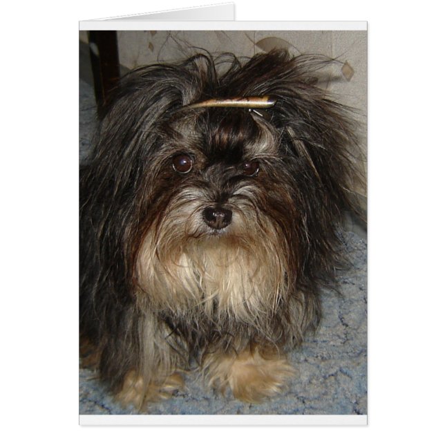 havtan hälsningskort (Framsidan)