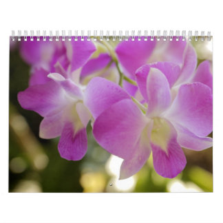 Hawaiansk blomma- & Orchidkalender Kalender