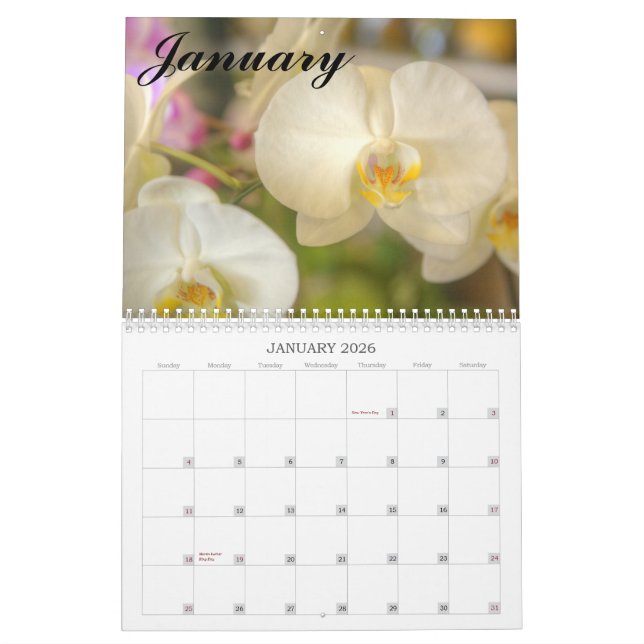 Hawaiansk blomma- & Orchidkalender Kalender (Jan 2026)