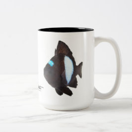 Hawaiansk DominoDamselfish, Dascyllus albisella Två-Tonad Mugg