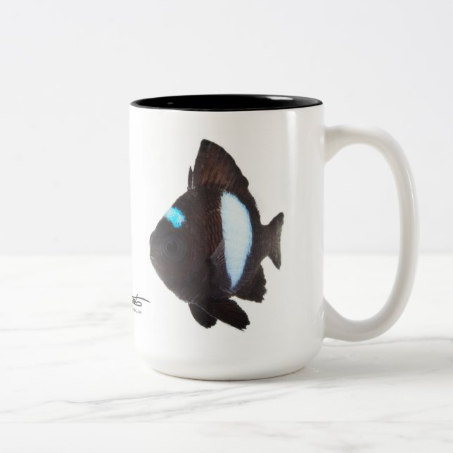 Hawaiansk DominoDamselfish, Dascyllus albisella Två-Tonad Mugg (Höger)