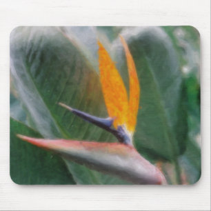 Hawaiansk fågel av paradiset Mousepads Musmatta