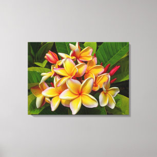 Hawaiansk Frangipani Canvastryck